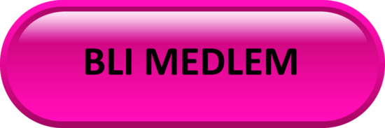 Medlem 