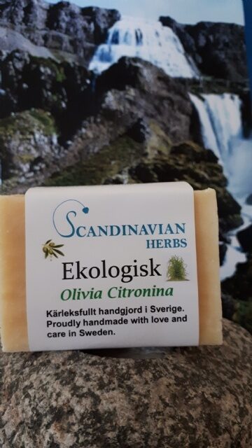 Olivia Citronina 10008 